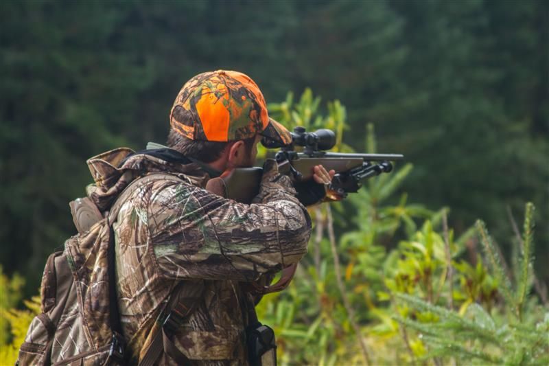 California Hunting Guide 2025